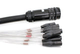 SIB Series 12 Channel Fan Out Cables - XLR female